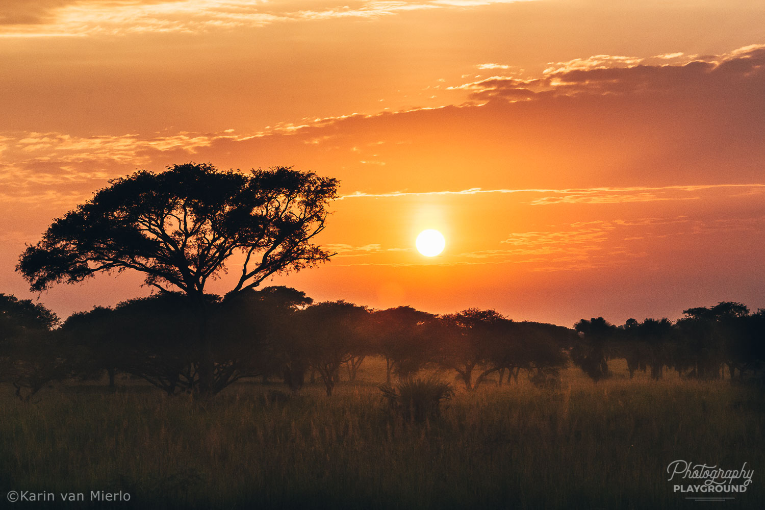 sunset photography, how to photograph the sunset | Photo: Sunrise at Murchison Park, Uganda ©Karin van Mierlo, Photography Playground