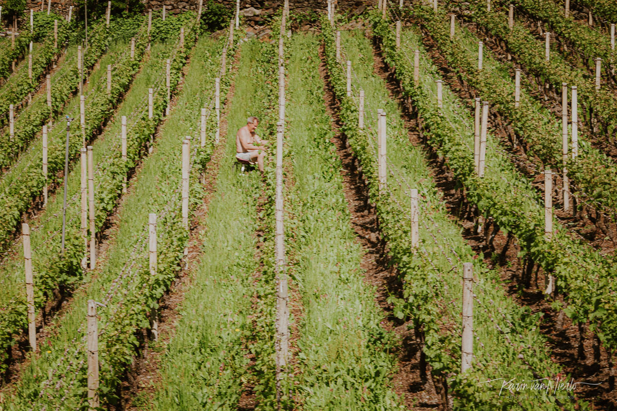 photos with depth, photo composition examples, composition techniques, composition rules, leading lines | Copyright Karin van Mierlo for Photography Playground. Photo: A man working in a vineyard in Alto Adige, Italy.