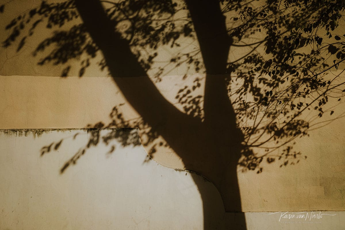 summer photography ideas | Copyright Karin van Mierlo, Photography Playground. Photo: the shadow of a tree on a wall, Lisbon, Portugal