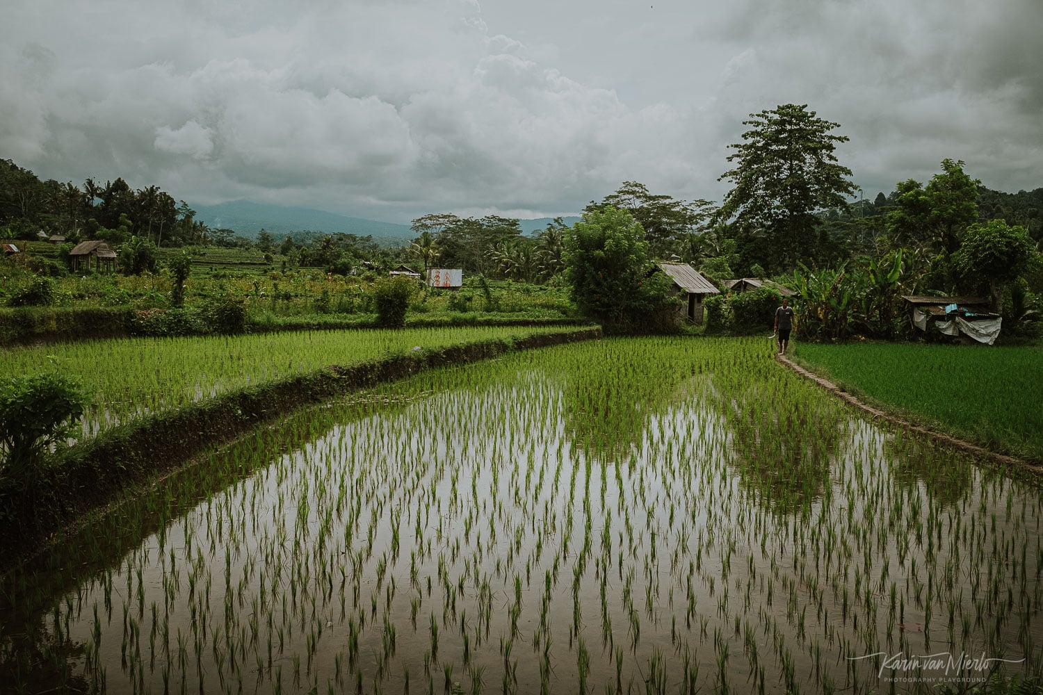 tips for landscape photography | Copyright Karin van Mierlo, Photography Playground. Photo: Rice Paddy, Sidemen, Bali